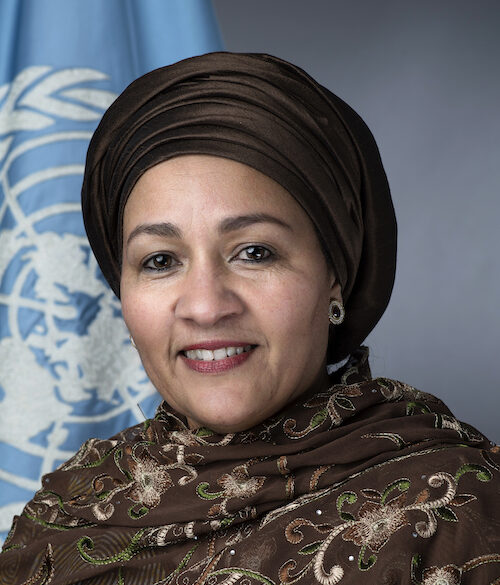 Portrait of Deputy Secretary General Amina J. Mohammed.
Official Portrait